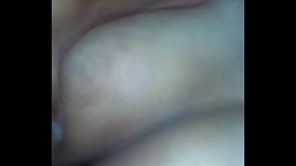 Le encanta de perrito