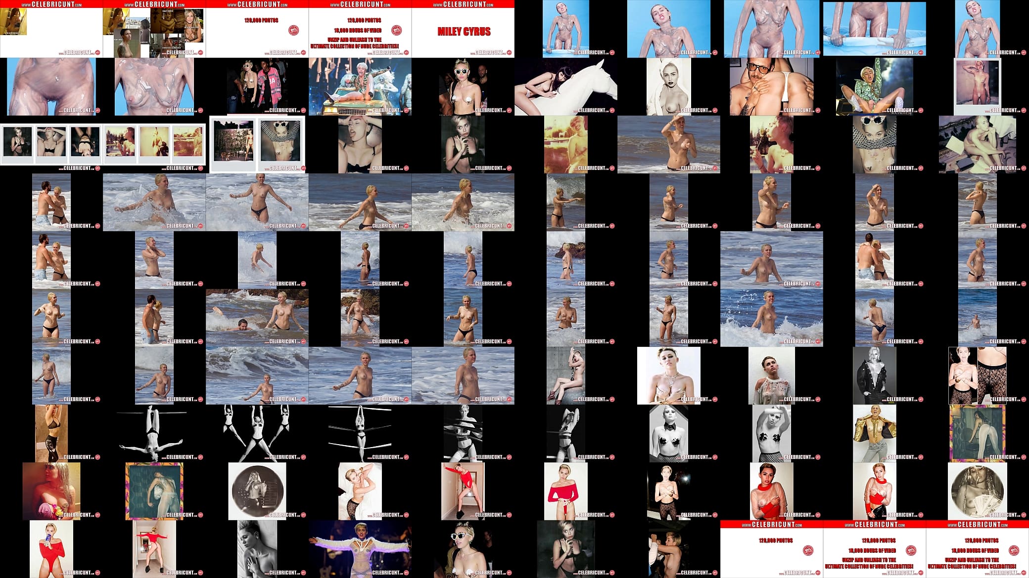 Nude Celebrity Fun With Miley Cyrus Tits and Pussy 预览图