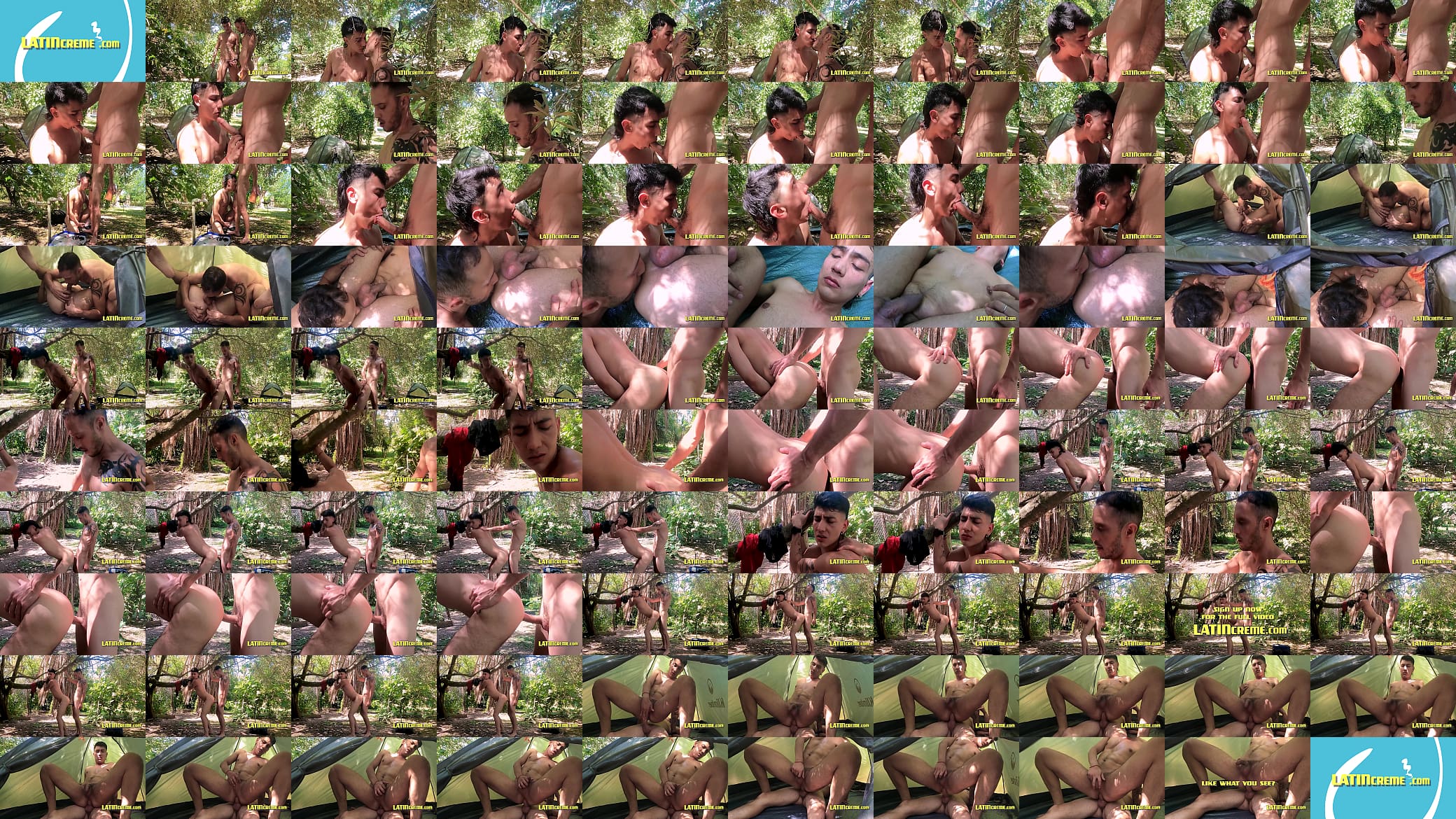Latino Twinks Forest Hook Up 预览图