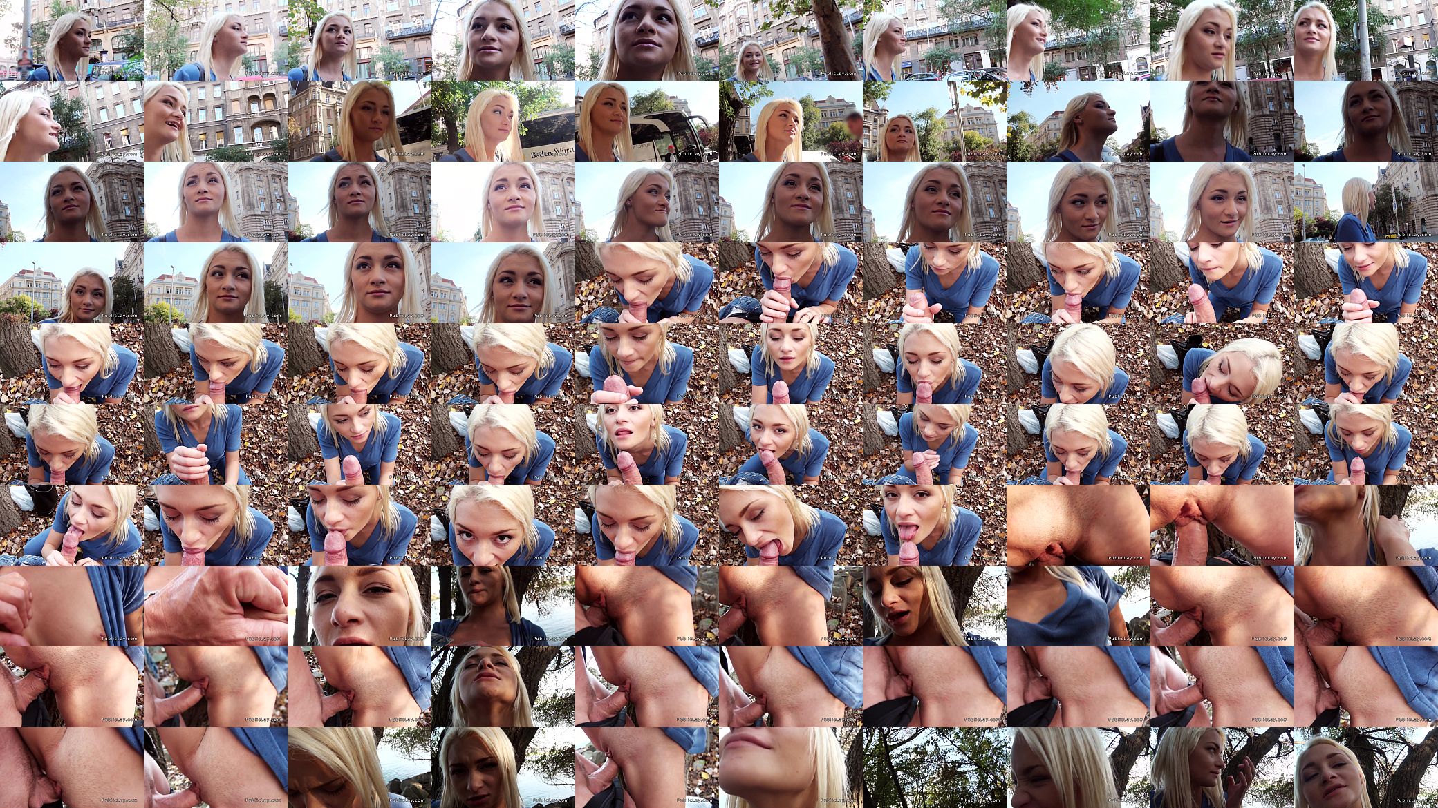 Blonde Russian nurse sucked and fucked in public 预览图