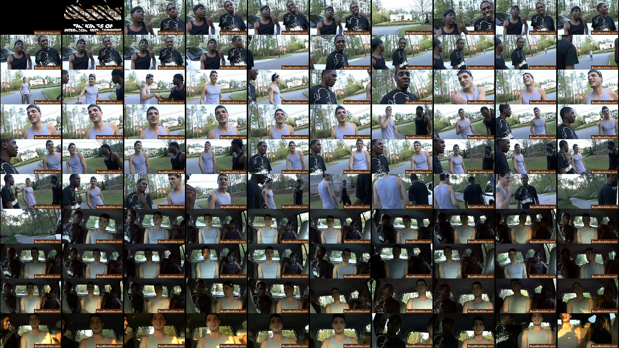 Blacks On Boys - White Gay Boys Fucked By Black Dudes-19 预览图