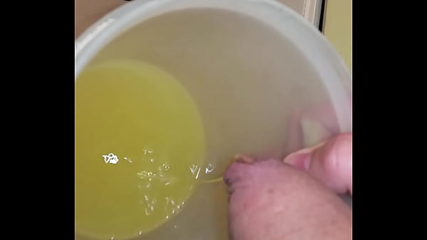 Pissing in family's d.