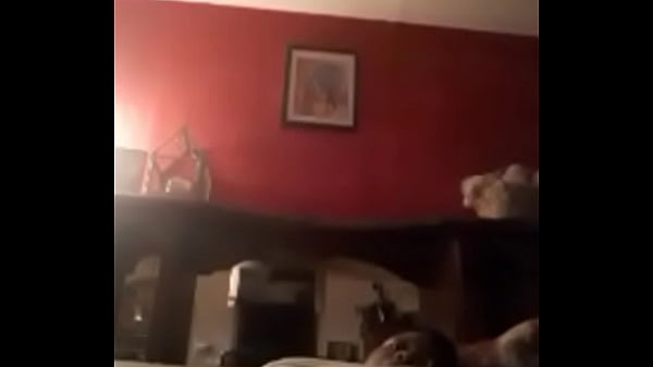 Vidéo De Vérification