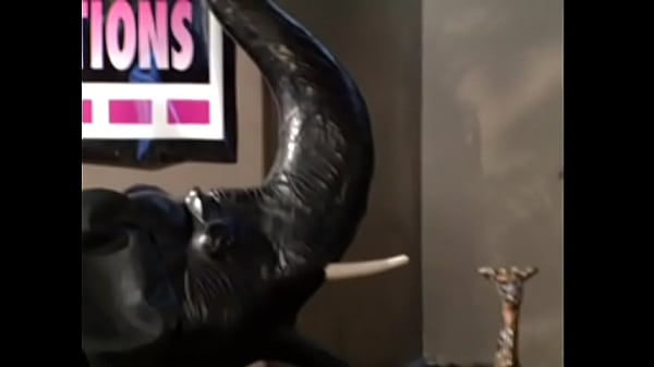 Lustful male fucks a slender brunette with small tits in the living room and licks her pussy with pleasure