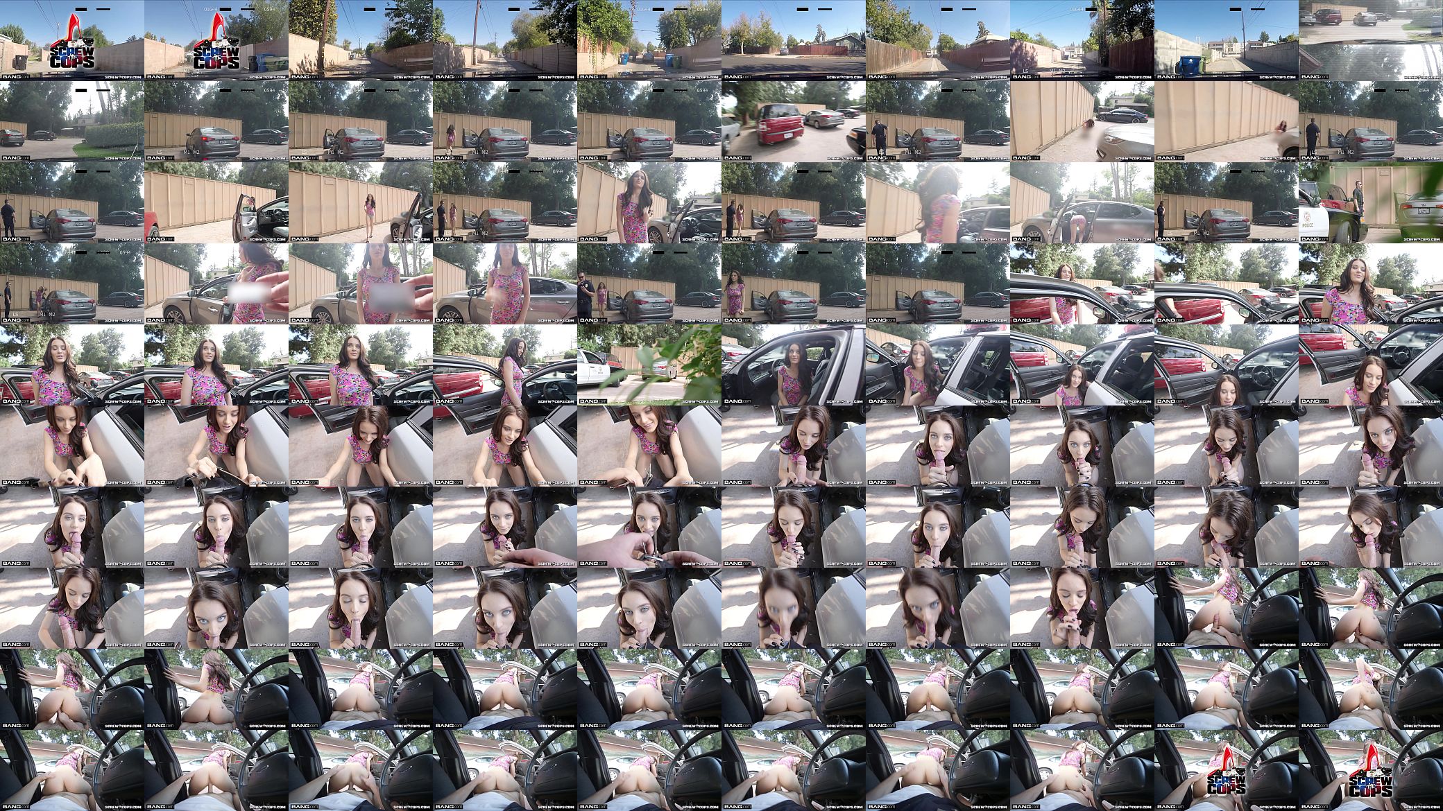 Lana Rhoades takes a cops cock for a test drive 预览图