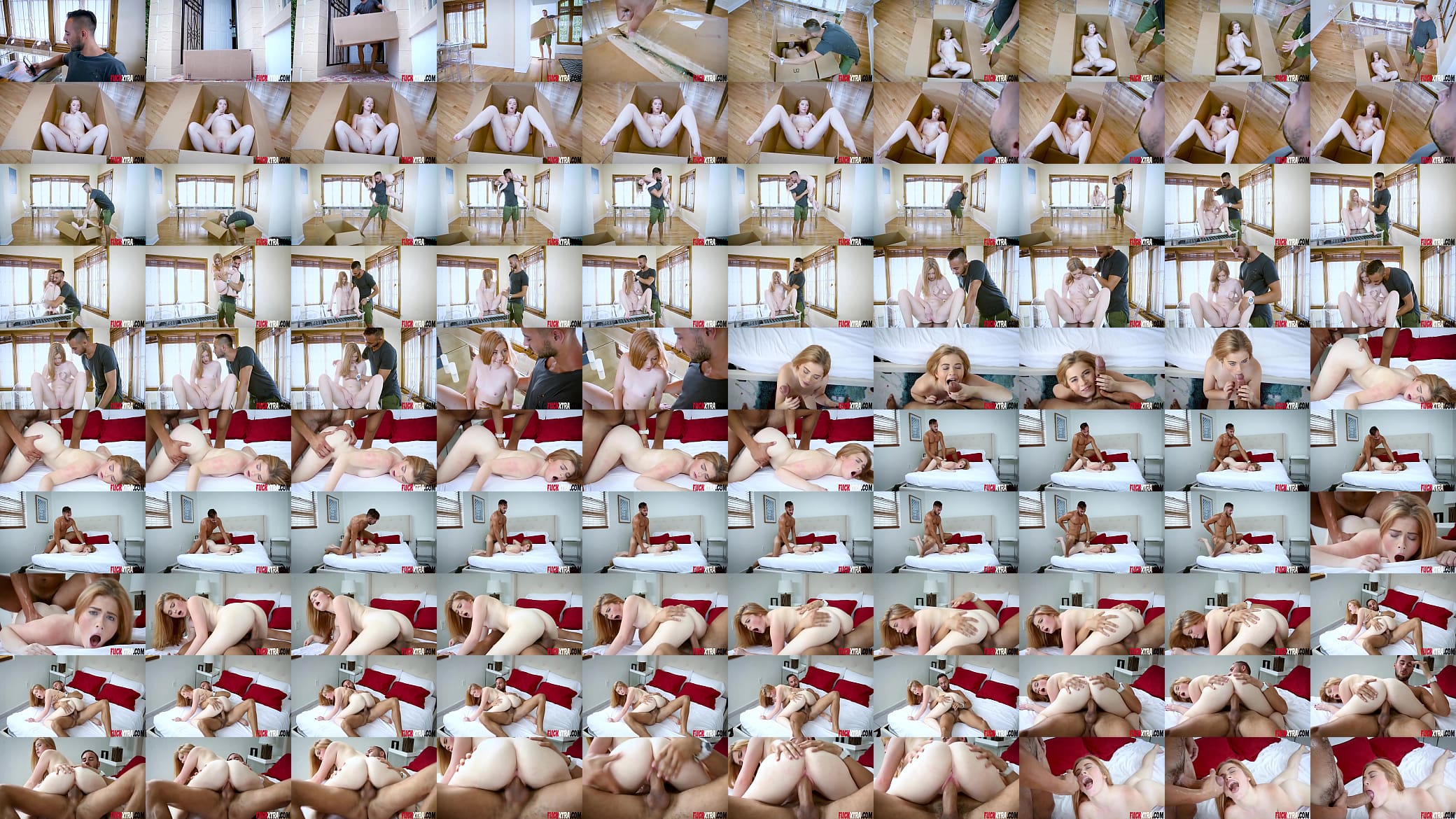 Briar Rose Petite in Box 预览图