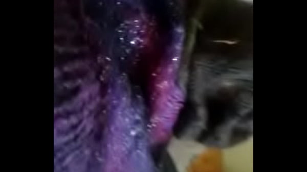 video-2015-06-11-19-07-56