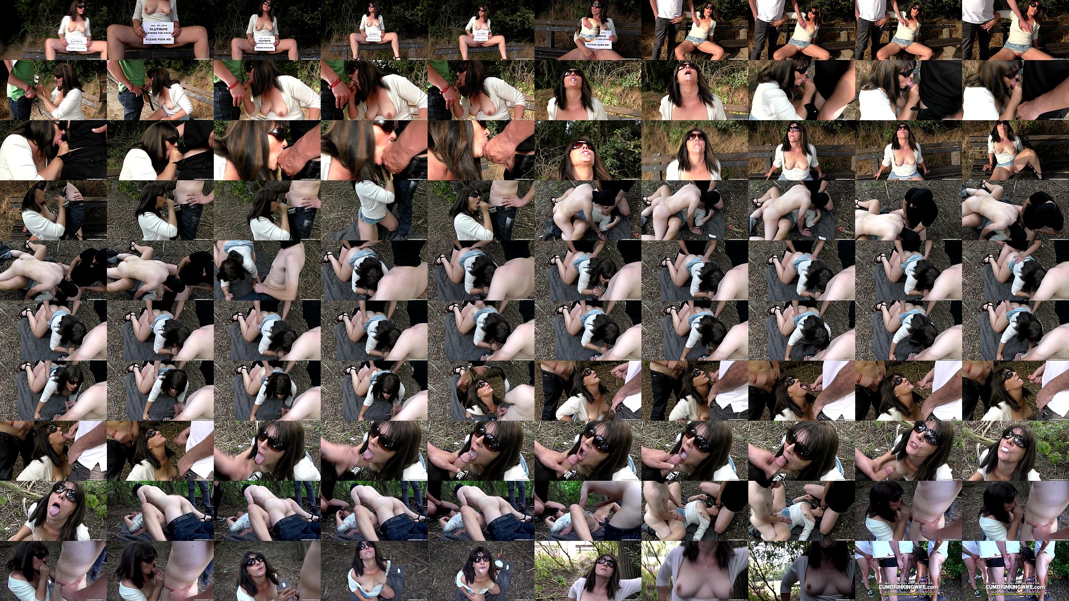 Dogging wife gangbanged by strangers in a park 预览图