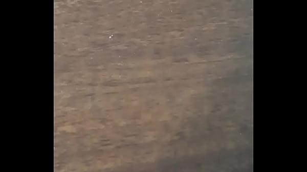 Verifizierungsvideo