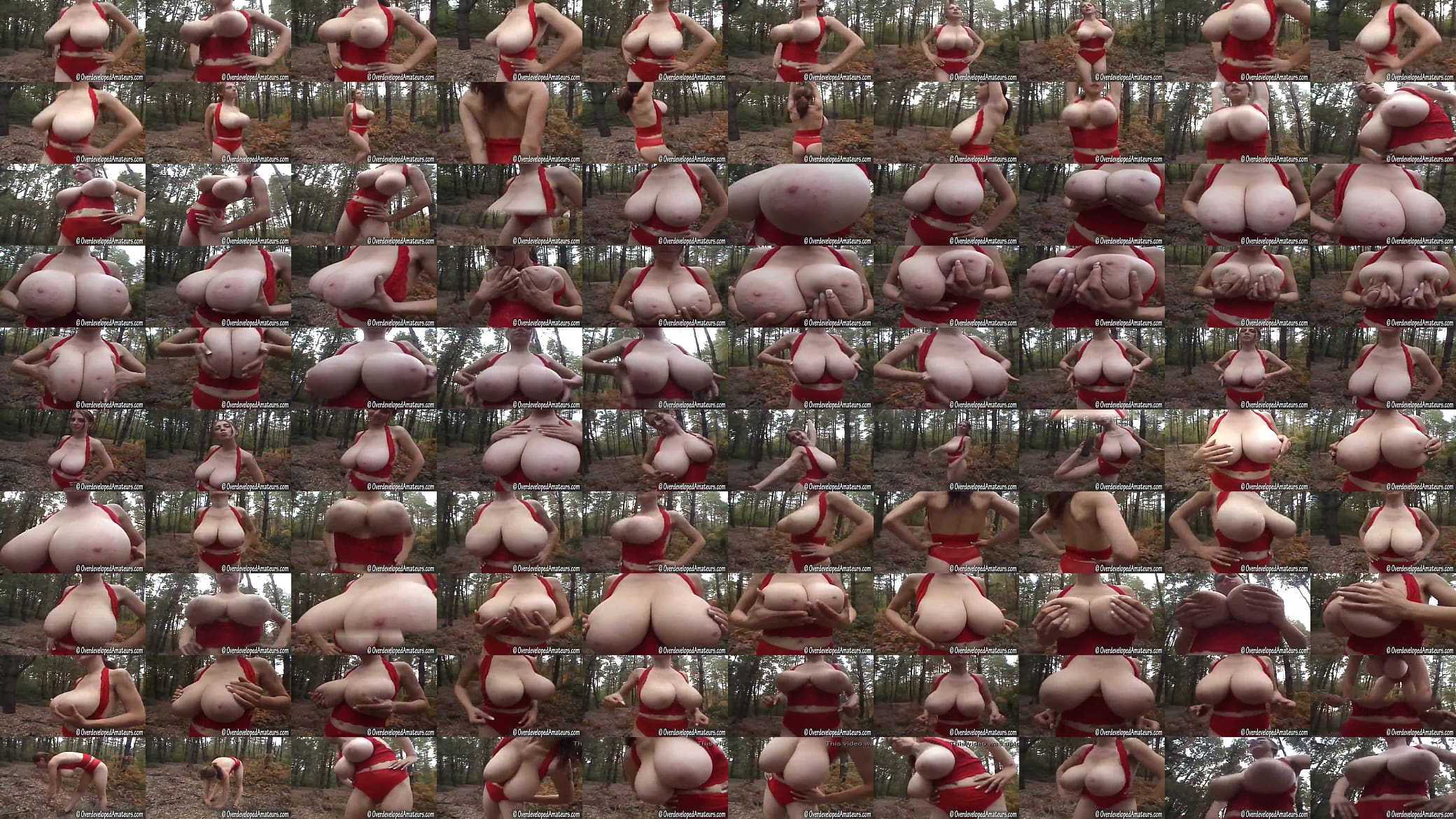 Huge tits  in the woods with Haydn symphony 13 mvt 4 1763 预览图