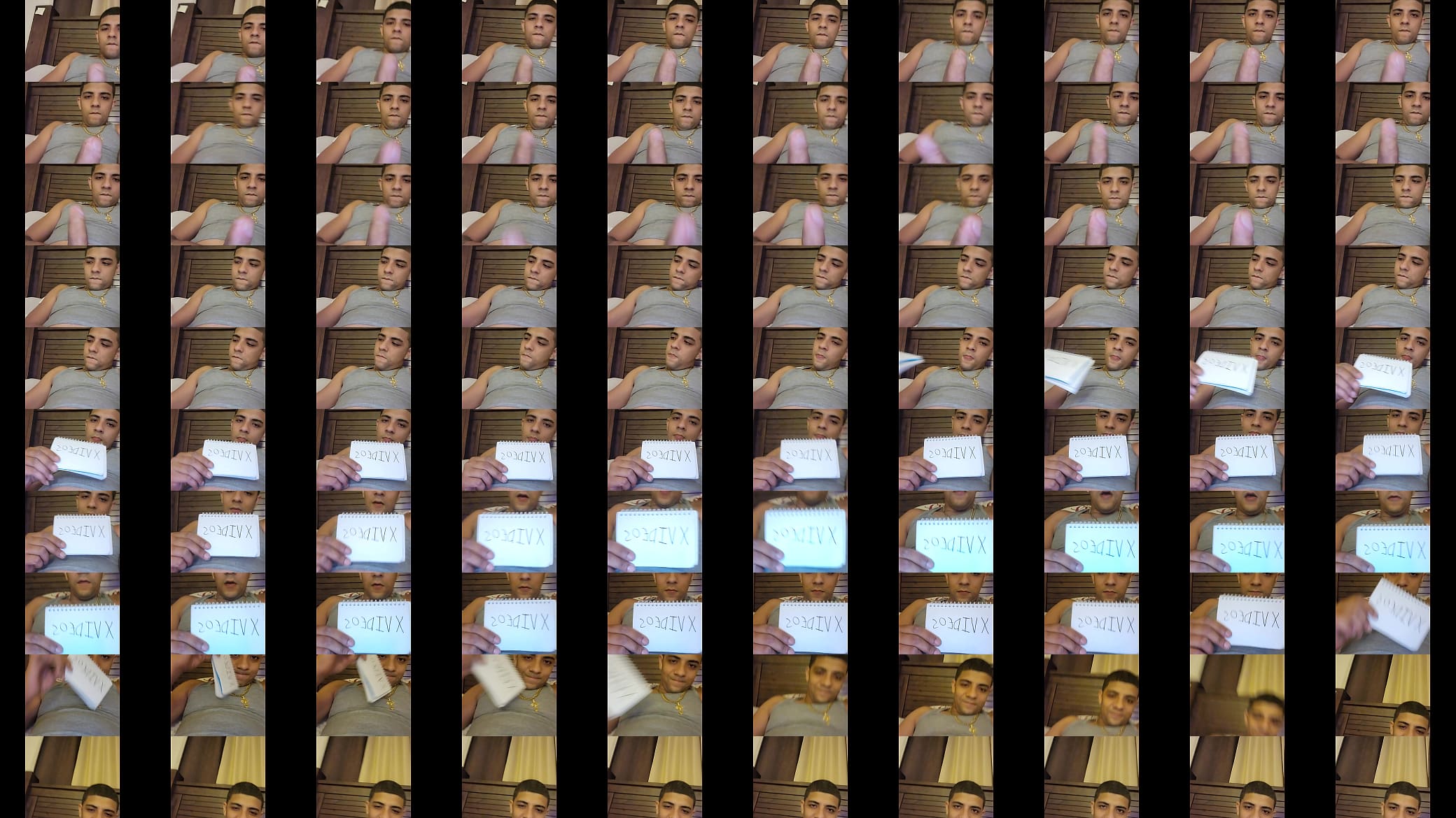 Verification video 预览图