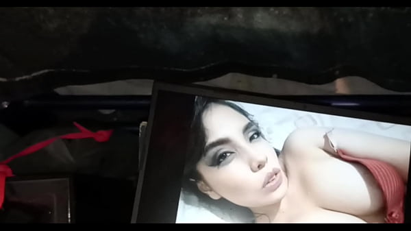 Cumtribute para Korssam7