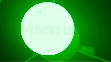 Lucky Gurl Anastasia Spicy Ukranian - First POV Blowjob and BBC Throat Fuck