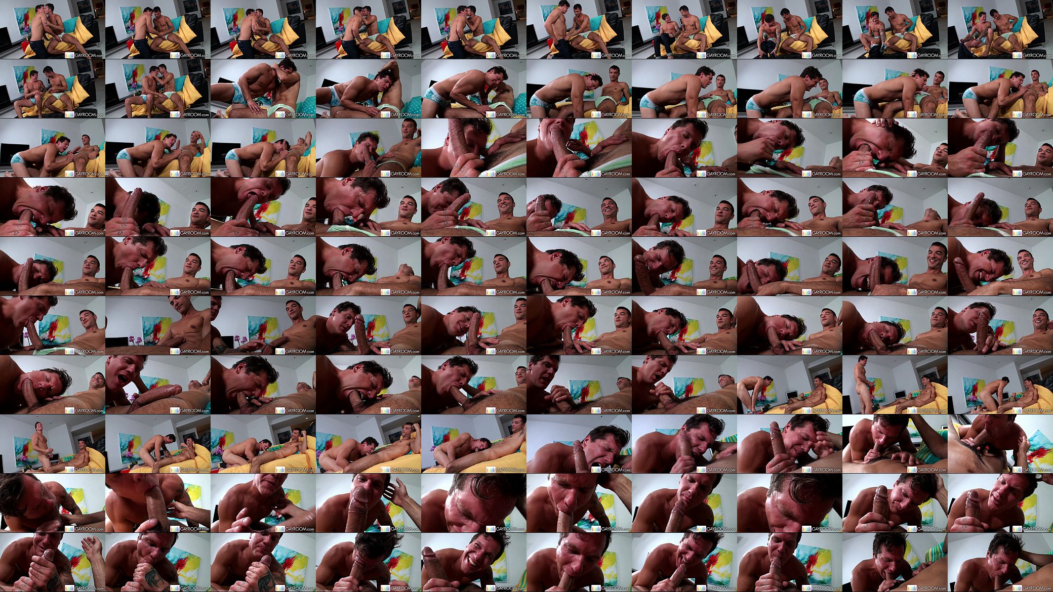 GayRoom Huge Cock 预览图