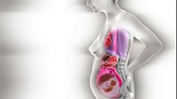 Facebook 592483610931423