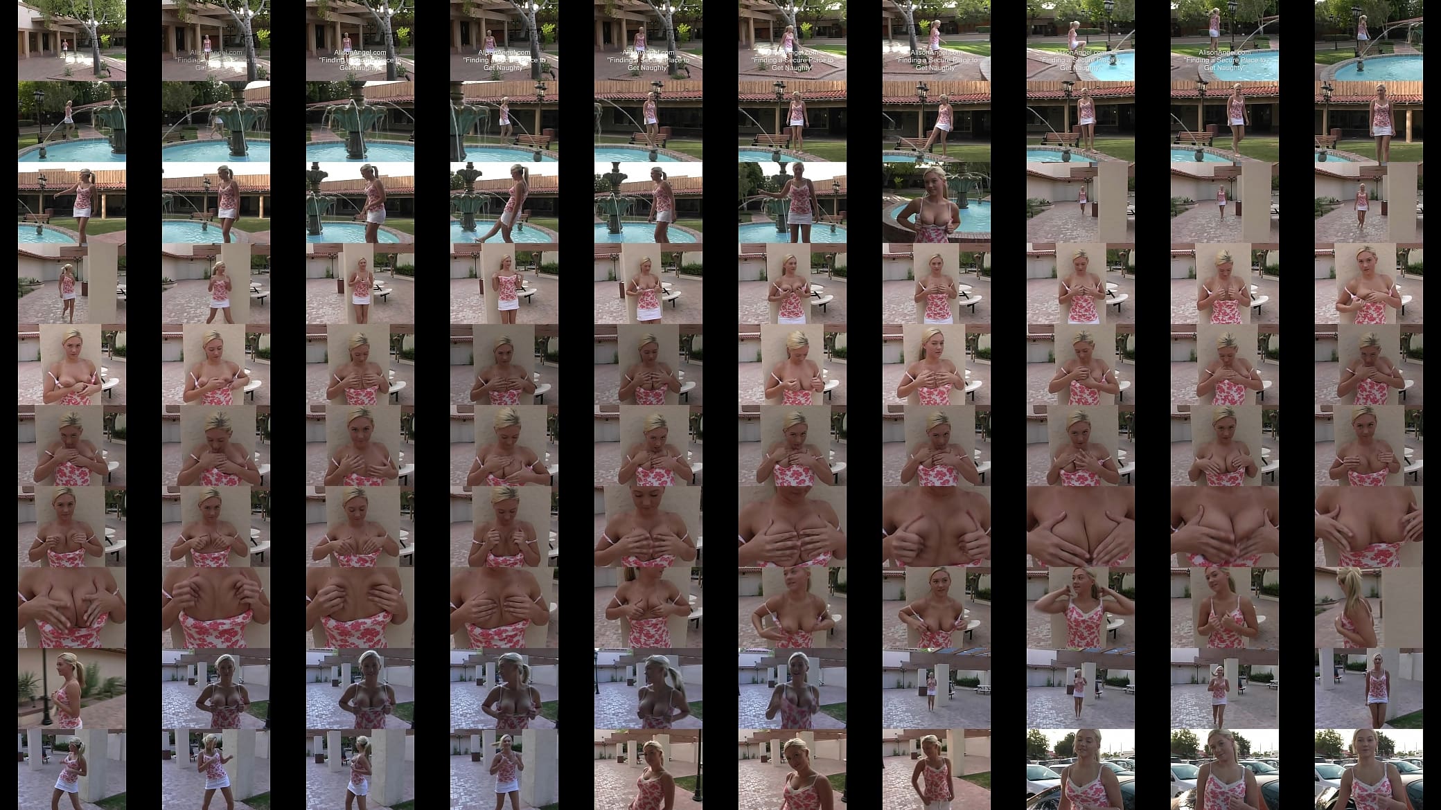 Alison Angel Flashing Tits 预览图