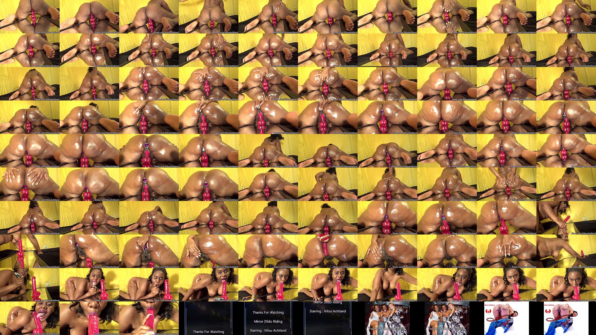Dildo Mirror Riding : Nilou Achtland 预览图