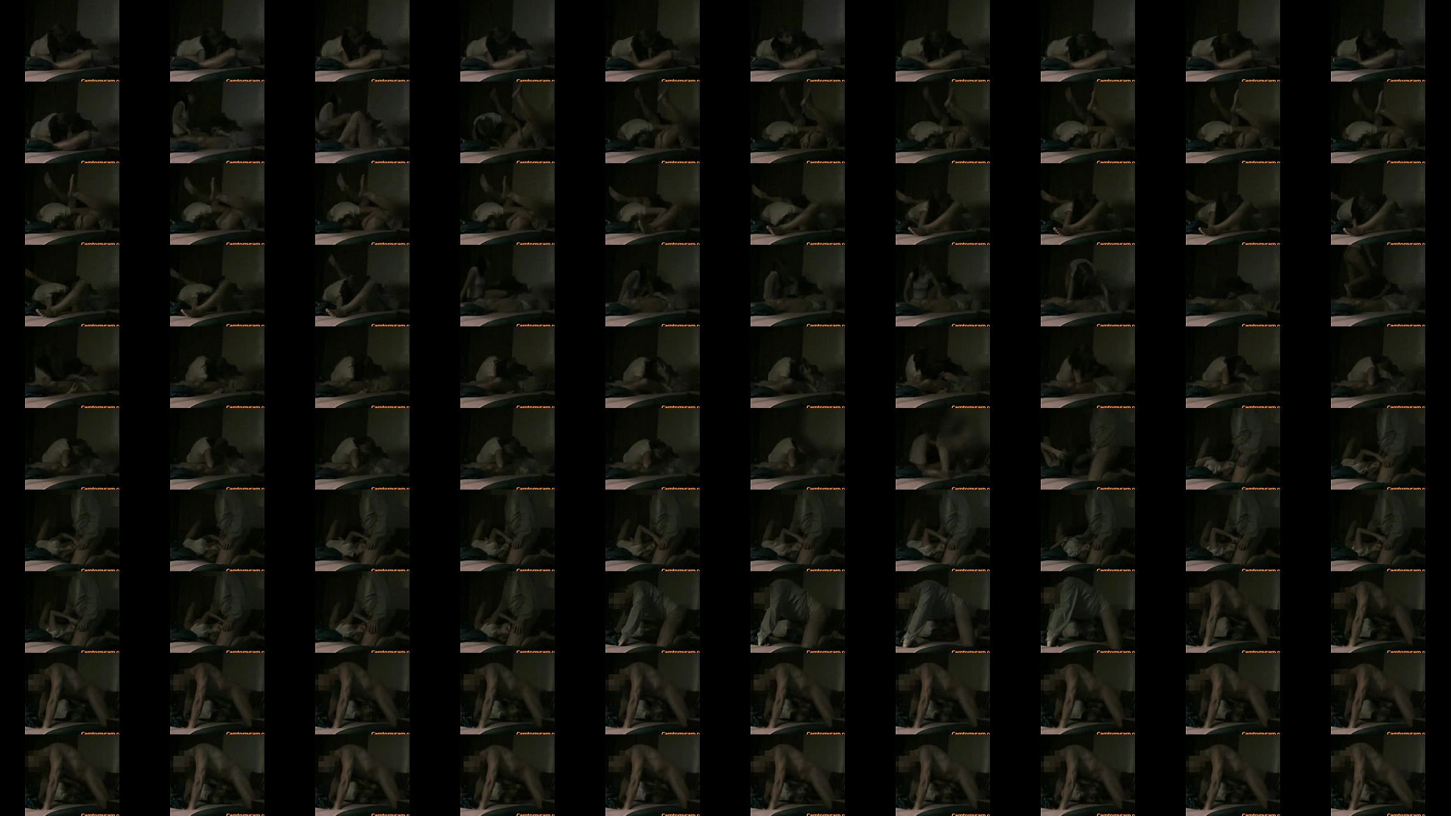 camtomycam (1) 预览图