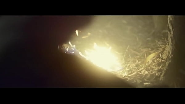 Vidéo De Vérification