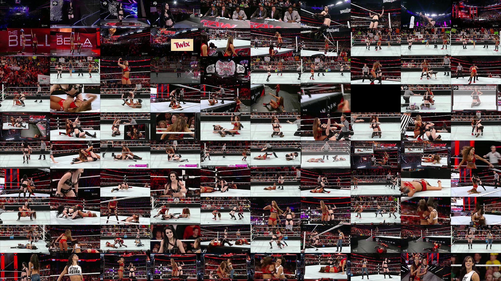 Nikki Bella vs Paige. Raw 3 2 15. 预览图