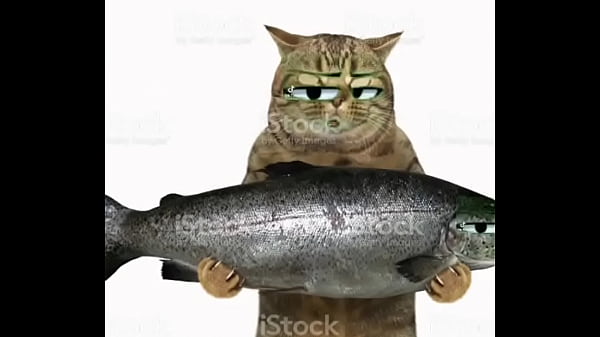 All my friends are toxic