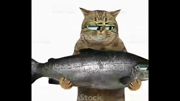 All my friends are toxic