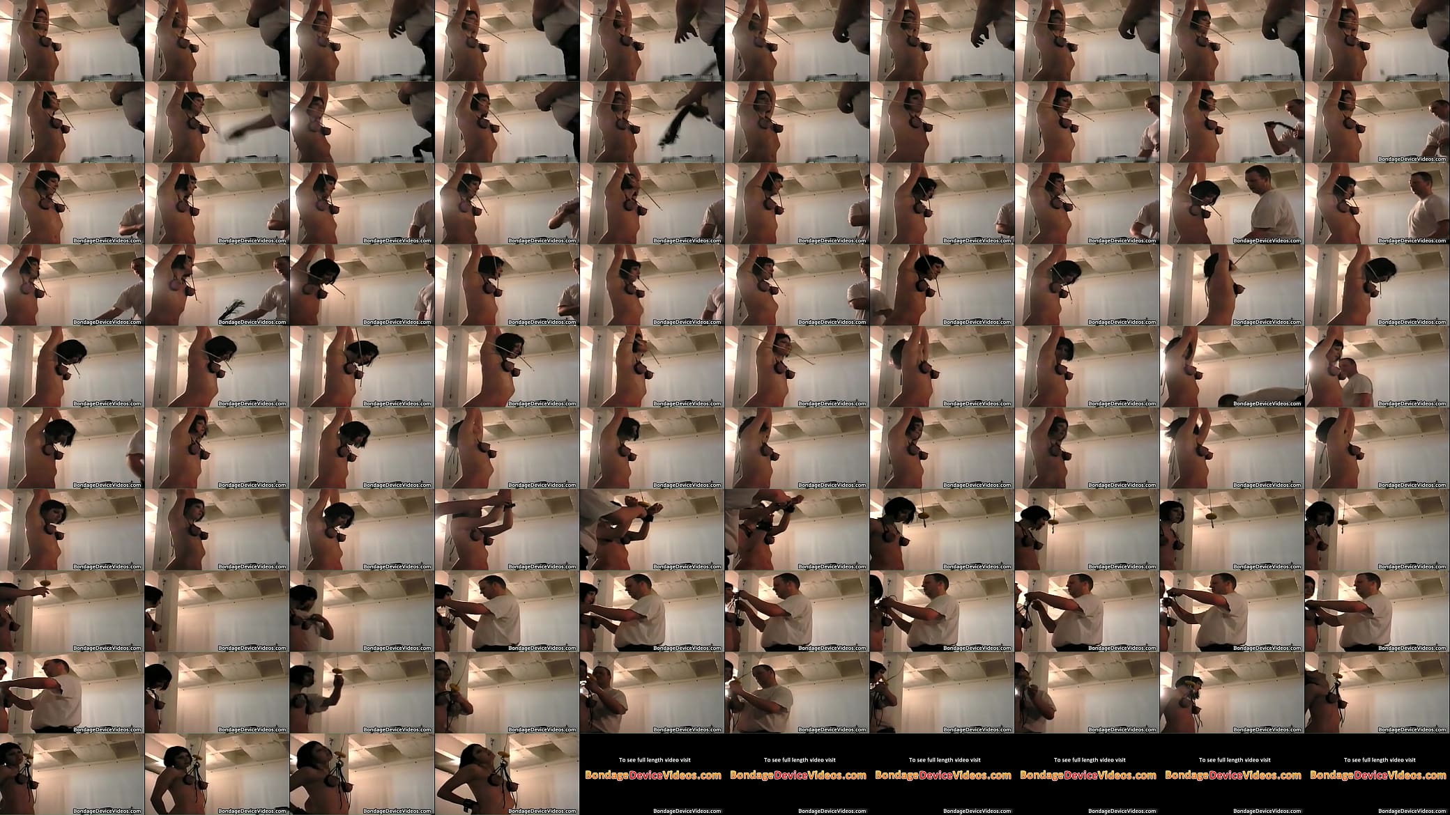 B Cup dark haired bdsm 预览图