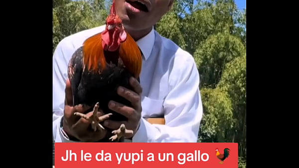 Leaked: Jh detonates Gallina xD