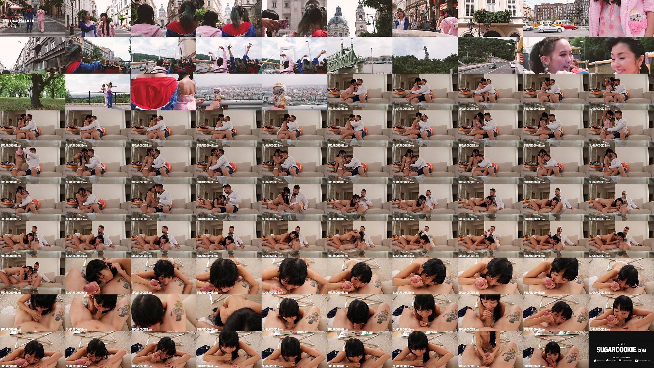 Pornstar Marica Hase has fun after Bus Tour 预览图