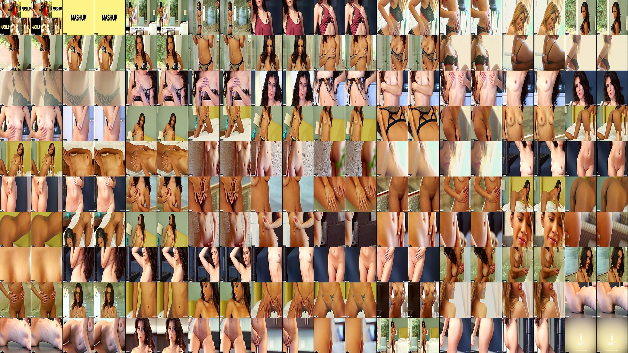 3D SBS - javHD69.com - PlayboyPlus.16.11.20.Mashup.Exotic.Beauties.Vol.5 预览图