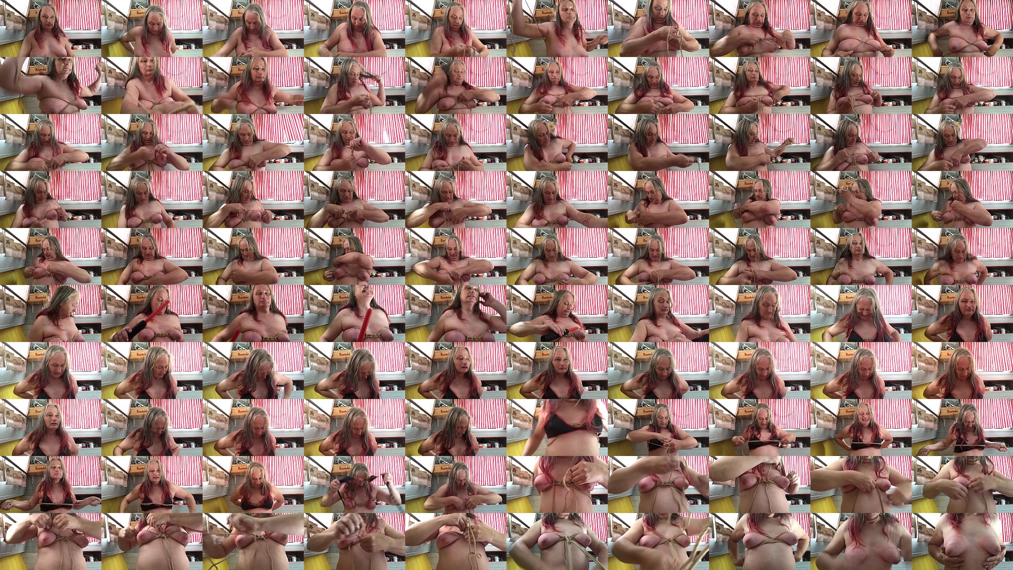 Master said to bind my own tits. I obeyed 预览图