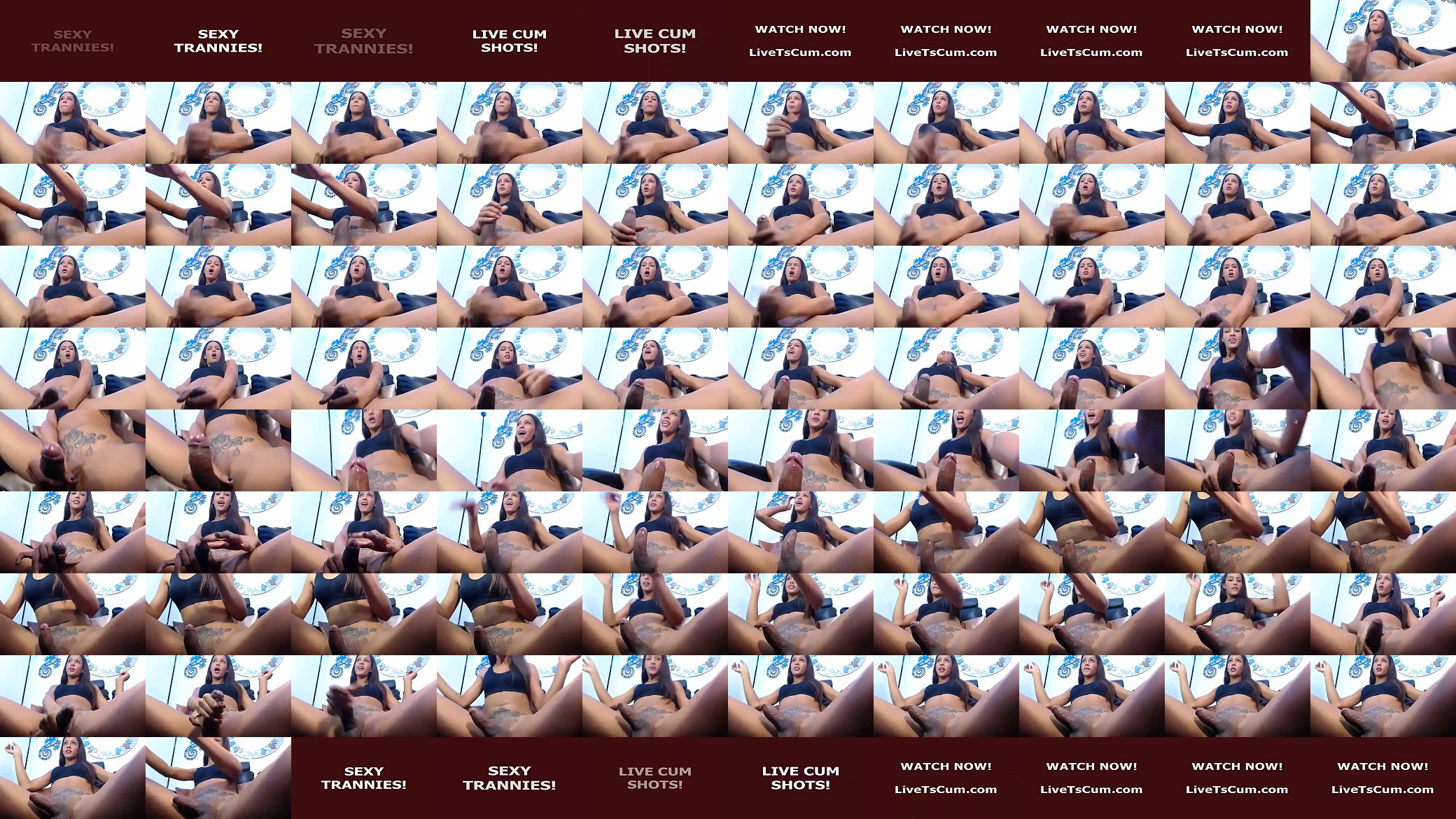 Live Ts Cum 50 预览图