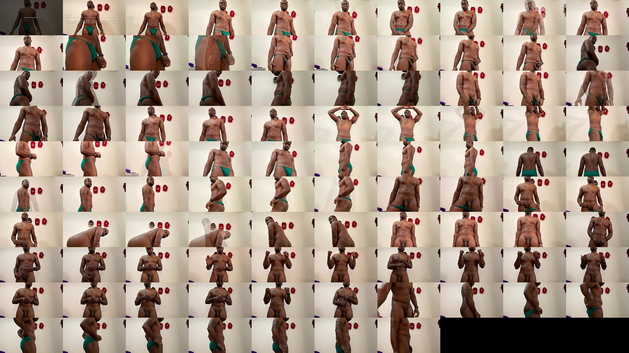 Capturing Norman Alexander 预览图