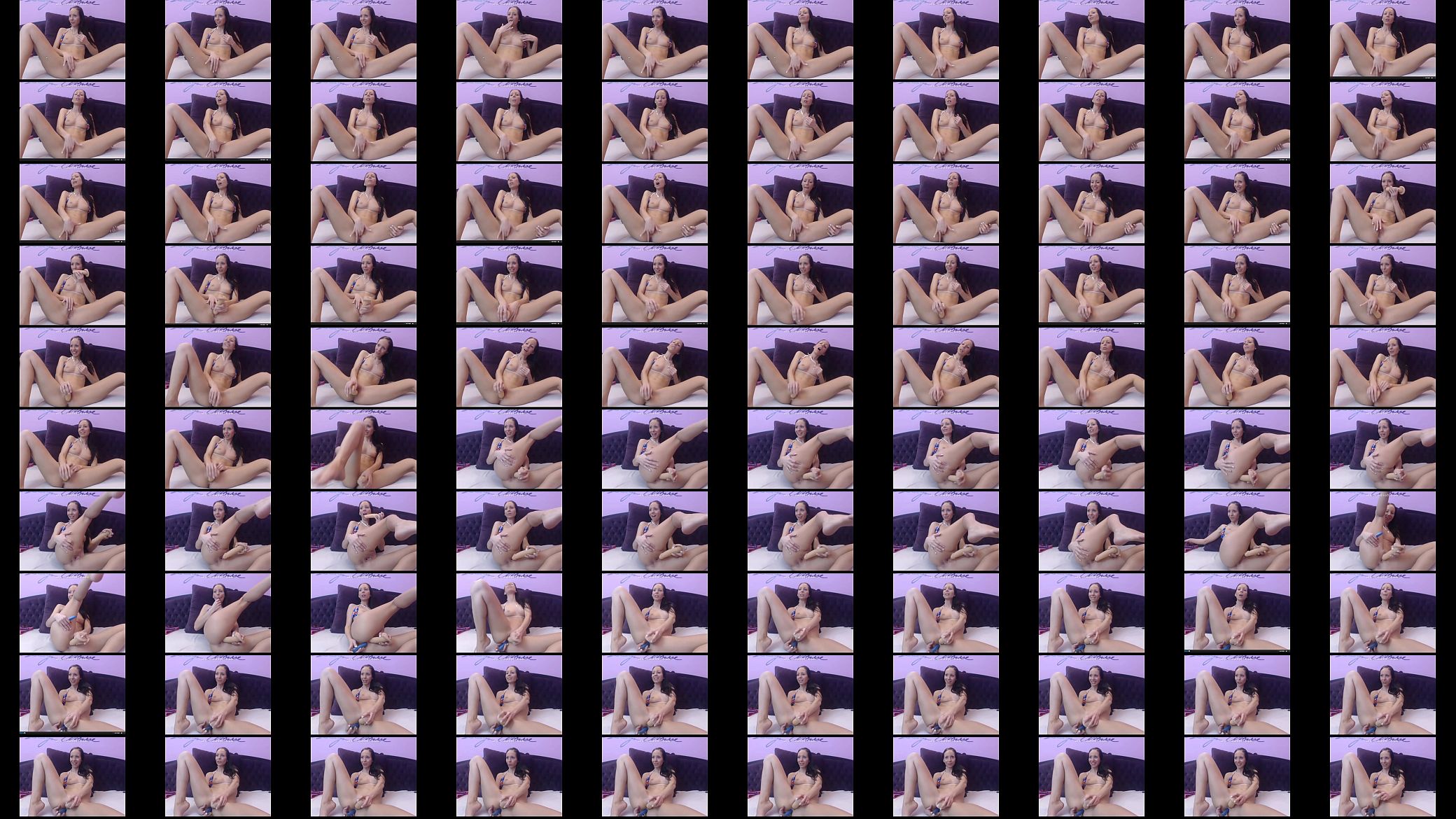 hungarian webcam 预览图
