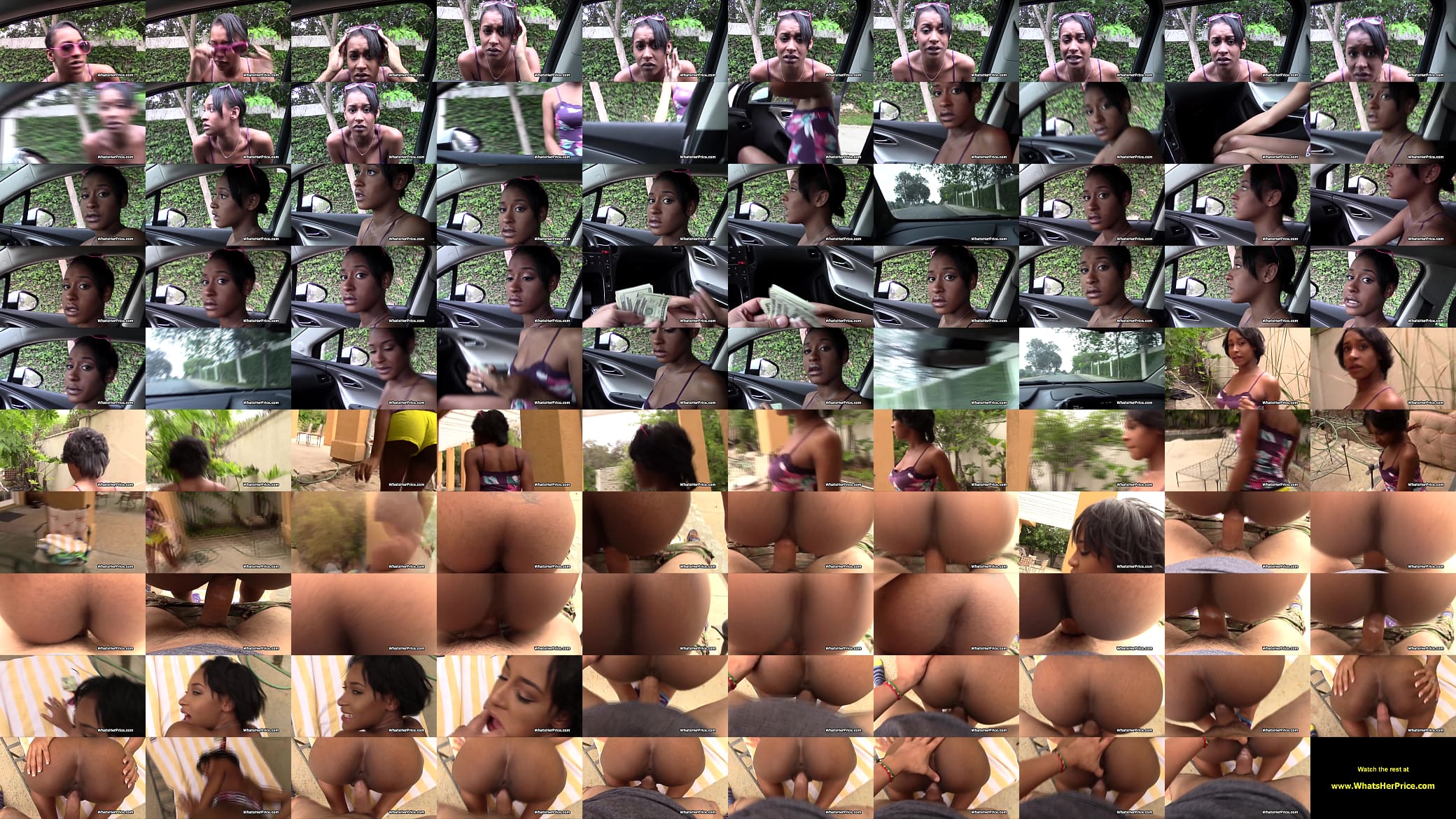 Outdoor pov fuck with black stranger for cash 预览图