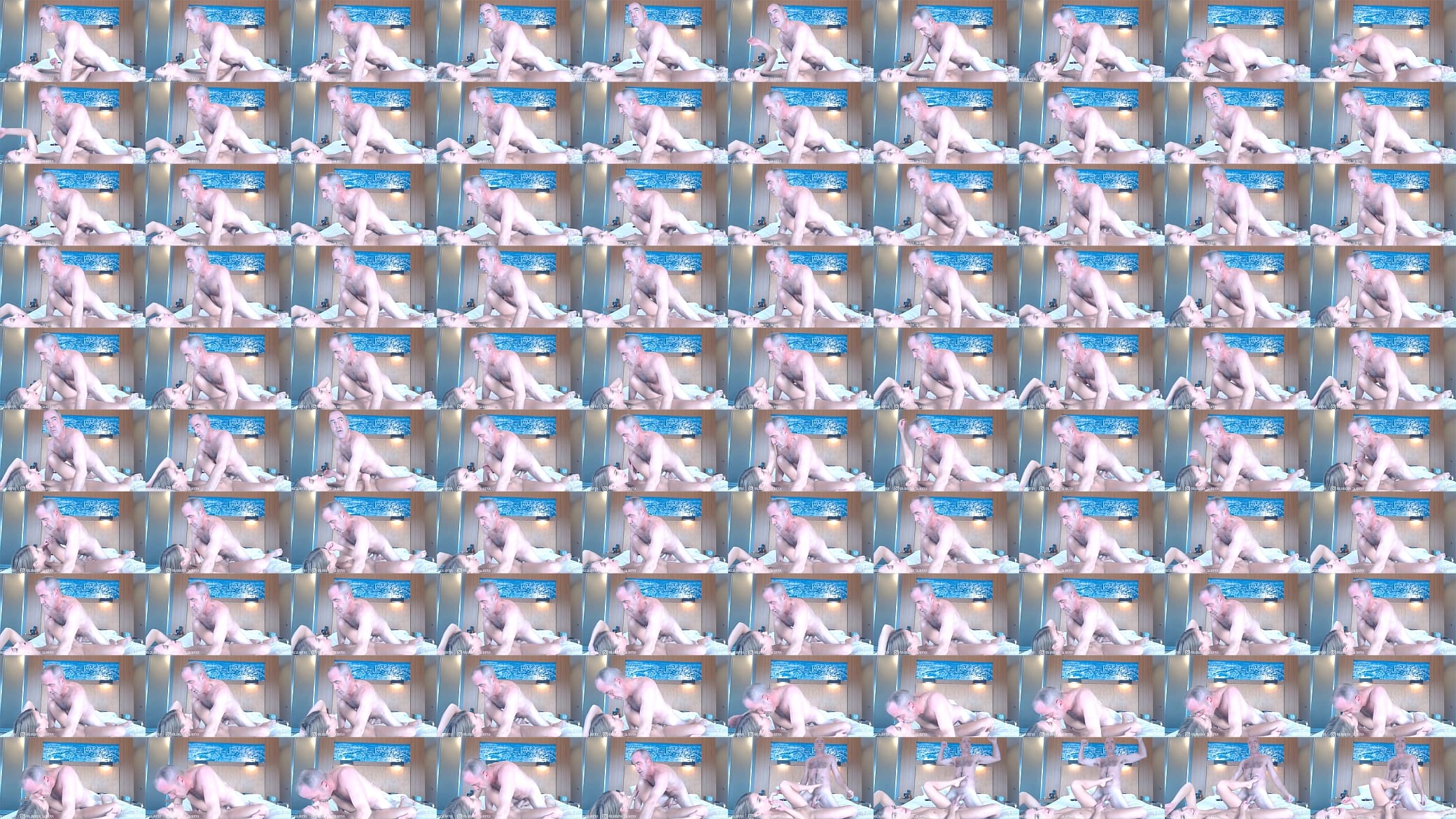 Silverfox cam fuck 预览图