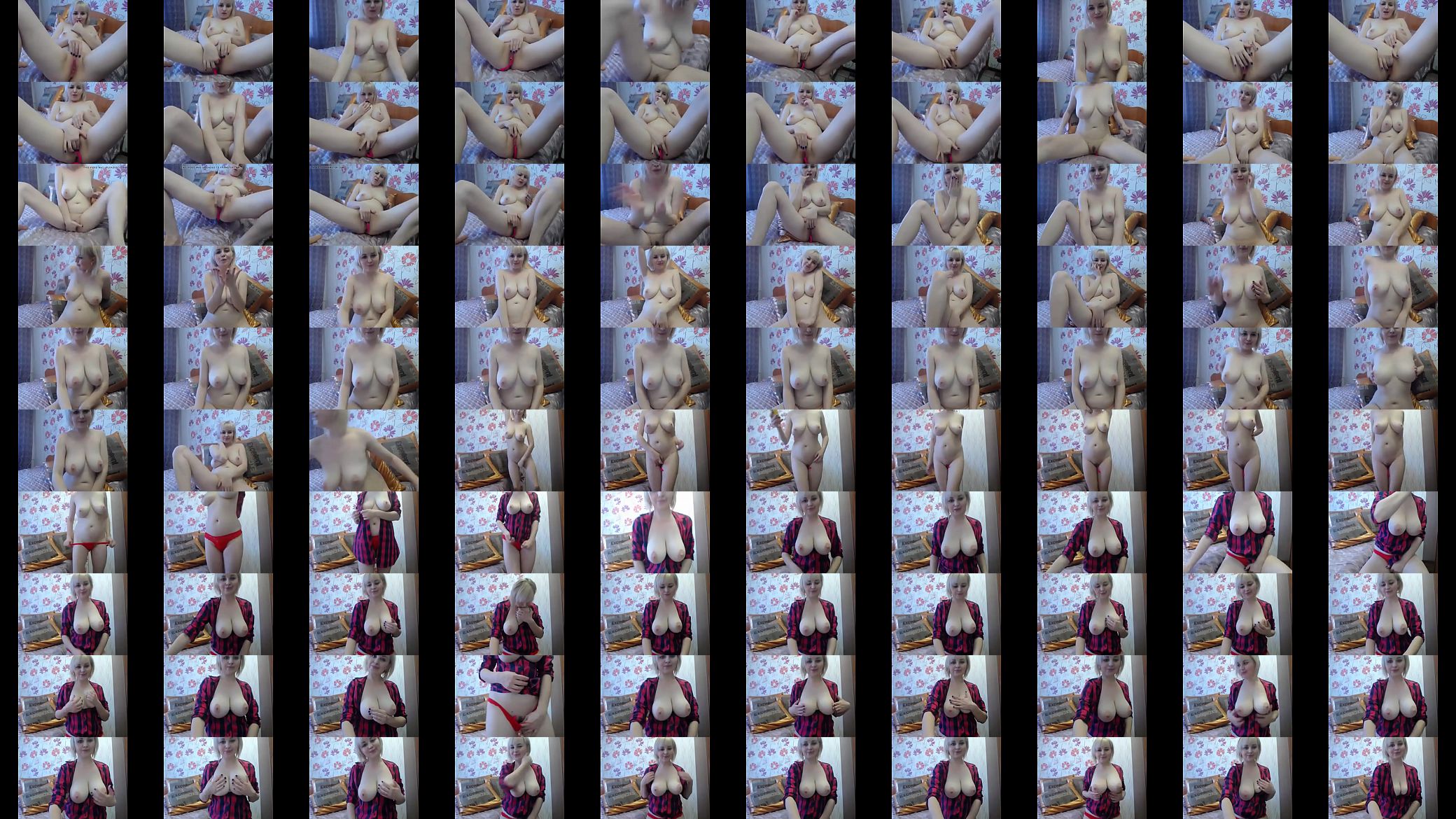 webcam 101 预览图