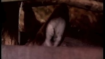 THE COUNTRY LADY DOGGSIDE IN THE BARN ENJOYS A NICE COCK